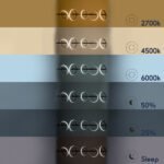 GLOBOSTAR® CIRCOLARE 61319 Μοντέρνο Κρεμαστό Φωτιστικό Οροφής LED 75W 8400lm 360° AC 220-240V IP20 Ρυθμιζόμενο Λευκό CCT με Χειριστήριο από 2700K έως 6000K Dimmable - Lumileds SMD Chip - Μαύρο Ματ - Μ120 x Π25 x Υ25cm - 3 Χρόνια Εγγύηση - Image 13