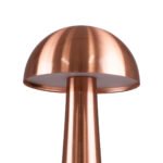 GloboStar® COCO 76511 Επαναφορτιζόμενο Επιτραπέζιο Φωτιστικό Πορτατίφ LED 1.5W 105lm 120° DC 5V IP44 Θερμό Λευκό 2700K Dimmable Χάλκινο Αλουμίνιο - Μ10 x Π10 x Υ22cm - 2 Xρόνια Εγγύηση - Image 8