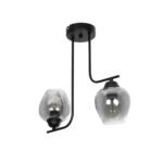 GLOBOSTAR® GLOSSA 201-0091 Vintage Φωτιστικό Οροφής με Ντουί 2 x E27 AC 220-240V IP20 - Μαύρο & Μαύρο Φιμέ - Μ40 x Π15 x Υ17cm - Image 2