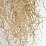 GLOBOSTAR® PLUVIA 205-0082 Boho Κρεμαστό Φωτιστικό Οροφής με Ντουί 1 x E27 AC 220-240V IP20 - Μπεζ - M30 x Π30 x Υ70cm - Image 8