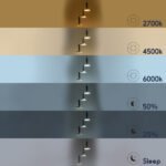 GLOBOSTAR® ZANE 60934 Μοντέρνο Κρεμαστό Φωτιστικό Οροφής LED 54W 6048lm 120° AC 220-240V IP20 Ρυθμιζόμενο Λευκό CCT με Χειριστήριο από 2700K έως 6000K Dimmable - Lumileds SMD Chip - Μαύρο Ματ & Χρυσό - Μ40 x Π40 x Υ20cm - 3 Χρόνια Εγγύηση - Image 12