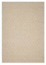 ΧΑΛΙ  CANVAS  1066D - 080X150  NewPlan