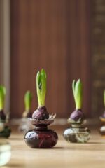 Zone Denmark Βάζο Γυάλινο Φ11x9 - Inu Smoked Grey - Image 3