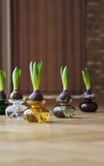 Zone Denmark Βάζο Γυάλινο Φ11x9 - Inu Pure Clear - Image 5