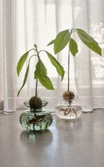 Zone Denmark Βάζο Γυάλινο Φ11x9 - Inu Pure Clear - Image 4