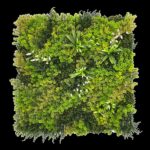 ΚΑΘΕΤΟΣ ΚΗΠΟΣ AQUA 100 Χ 100  K026B NewPlan