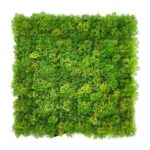 ΠΑΝΕΛ ΦΥΛΛΩΣΙΑΣ MOSS 50 Χ 50 A509 NewPlan