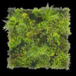 ΚΑΘΕΤΟΣ ΚΗΠΟΣ AQUA 100 Χ 100  K026A NewPlan