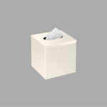 Tissue Box Free standing | Wall mounted (AISI 304) Μπεζ Ματ SANCO