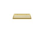 Sponge Dish PVD Golden Brass Polished SANCO