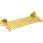 Sponge Dish PVD Golden Brass Brushed SANCO
