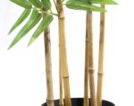 BAMBOO  NP5801_180_22_UV  ΥΨΟΣ 180cm NewPlan - Image 3