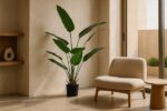 BANANA TREE NP1411_160  ΥΨΟΣ 160cm NewPlan - Image 2