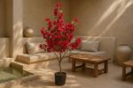 BOUGAINVILLEA  NP_70_120  ΥΨΟΣ 120cm NewPlan - Image 2