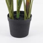 Διακοσμητικό φυτό σε γλάστρα Cycas Inart πράσινο Φ55x80εκ - Image 3