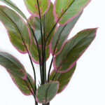 Διακοσμητικό φυτό σε γλάστρα Calathea Inart πράσινο Φ68x120εκ - Image 2