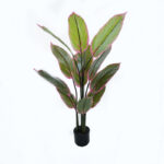 Διακοσμητικό φυτό σε γλάστρα Calathea Inart πράσινο Φ68x120εκ