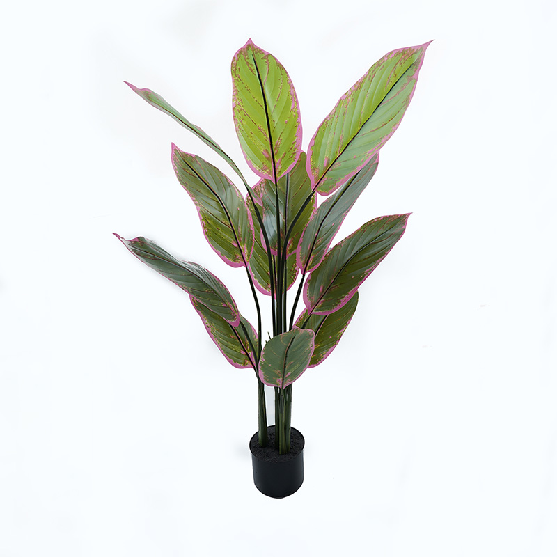 391-000005 Διακοσμητικό φυτό σε γλάστρα Calathea Inart πράσινο Φ68x120εκ - Image 1