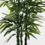 Διακοσμητικό φυτό σε γλάστρα Arti Bamboo Inart πράσινο Φ70x150εκ - Image 2