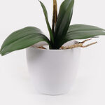 Διακοσμητικό φυτό σε γλάστρα Οrchid White Inart 36x17x65εκ - Image 3
