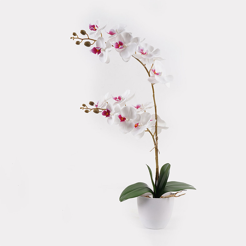391-000024 Διακοσμητικό φυτό σε γλάστρα Οrchid White Inart 36x17x65εκ - Image 1