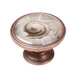 Πομολάκι Vintage Χάλκινο Spiral Shell Φ37mm