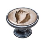 Πομολάκι Vintage Πατίνα Μαύρο Sea Shell Φ37mm