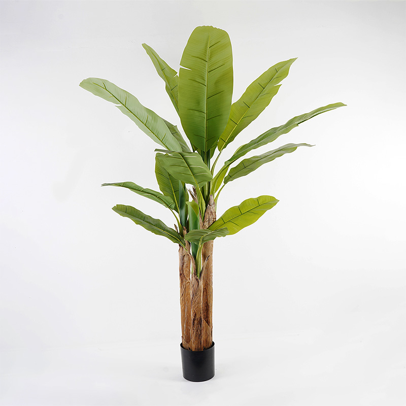 391-000006 Διακοσμητικό φυτό σε γλάστρα Banana Tree Inart πράσινο Φ53x190εκ - Image 1