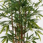 Διακοσμητικό φυτό σε γλάστρα Rhapis Palm Inart πράσινο Φ60x120εκ - Image 2