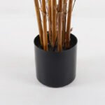 Διακοσμητικό φυτό σε γλάστρα Rhapis Palm Inart πράσινο Φ60x120εκ - Image 3